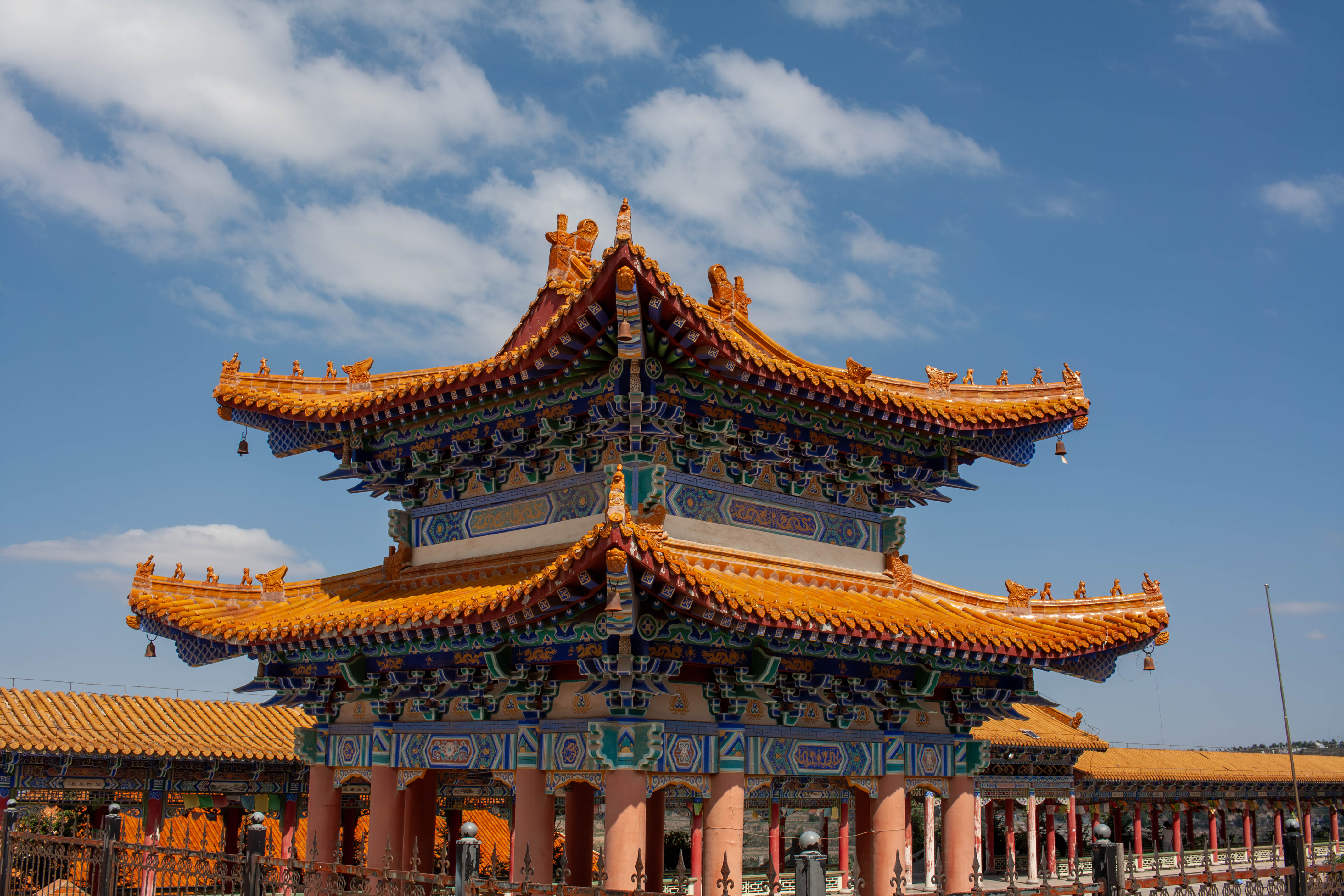 IMG_7517-已增强-降噪