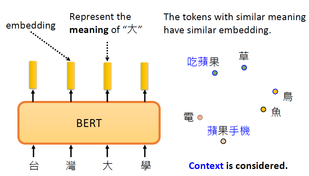 image-20250614012124426