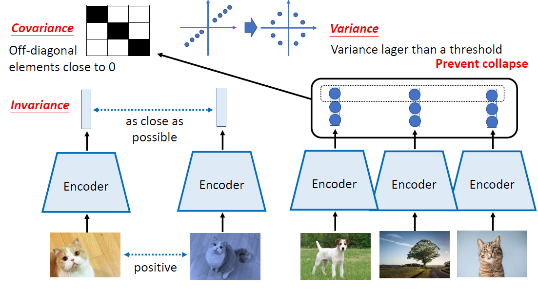 image-20250616231158232